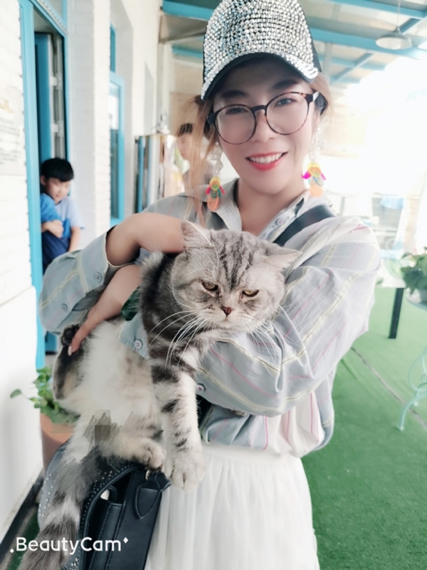 小黑猫的第一张照片--盘锦王婆说媒
